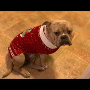 Meet your Posher, Bryanna